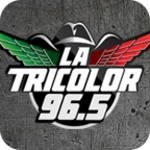 tricolor 965 fm android application logo